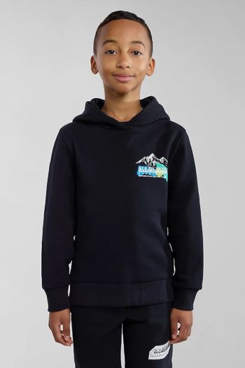  Child's Hooded Sweatshirt